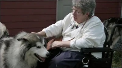 Est-il &agrave; l'aise en pr&eacute;sence d'&eacute;quipements mobiles, comme les fauteuils roulants et les d&eacute;ambulateurs ?