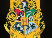 Test Quelle crature de ''Harry Potter'' te correspond le plus ?