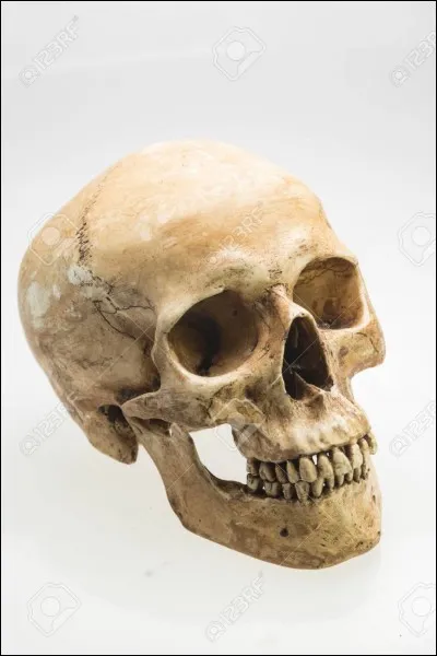 Qui meurt dans ''Harry Potter 4'' ?