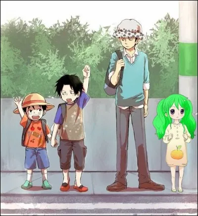 Adores-tu ''One Piece'' ?