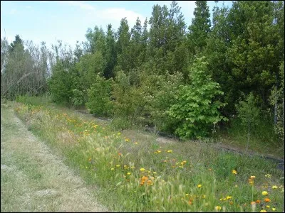 Quel type de lutte avec des auxiliaires peuvent favoriser les infrastructures agro-écologiques ? [Choisissez une réponse]