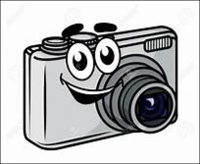 Un(e) ami(e) te prend en photo sans te demander la permission, tu :