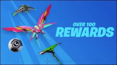 Combien y a-t-il de pioches dans le passe de combat ?