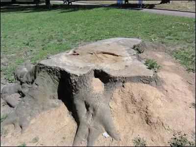 Le nom de cette commune de la Loire provient d'un mot gaulois qui voulait dire "jardins enclos dans de bonnes terres". Cette commune c'est donc...