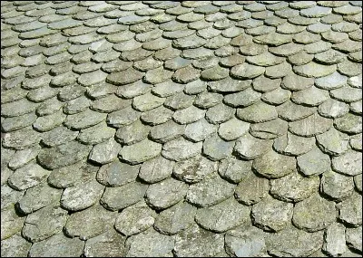 Quel nom d'arbres portent ces communes du 25 et du 71 ?