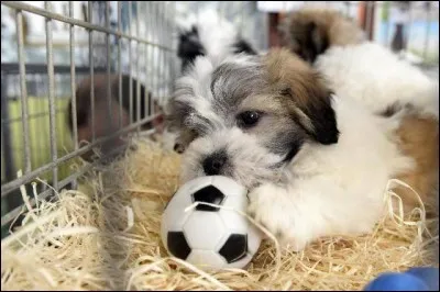 Où vit-il en France ?