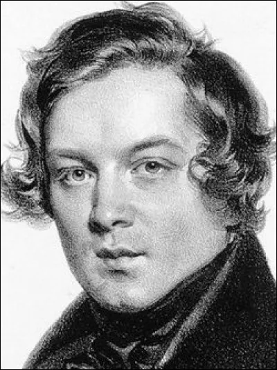 Quel est ce Robert ?