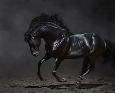 Comment écrit-on "orange" ?