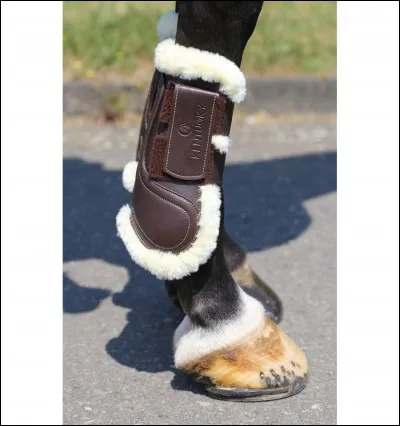 Quel est le nom de cette protection ?