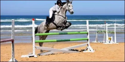 Quel est le nom de cette phase de saut ?