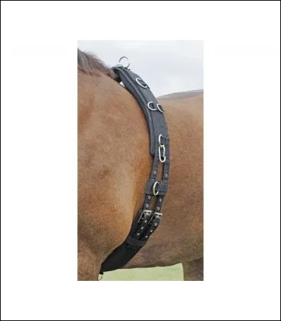 Quel est le nom de cette protection de transport ?