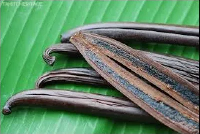 Les gousses de vanille sont les capsules qui contiennent les graines d'une fleur bien connue, laquelle ?