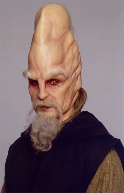 Quelles particularités a Ki-Adi-Mundi ?