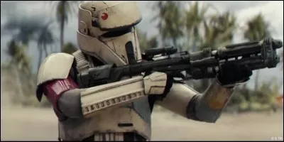 Quelles sont ces troupes ?