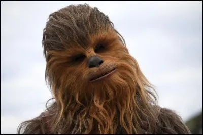 De quelle espèce est Chewbacca ?