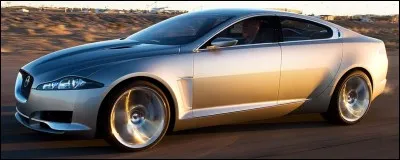 Exposée pour la première fois en 2007 au Salon de Detroit, cette Jaguar fut conçue pour "attirer le regard". Pour y parvenir, l'esthétique séduisante de la marque a été poussée à l'extrême.