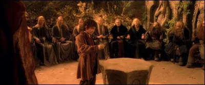 Qui fait partie de la fraternité de l'anneau ?