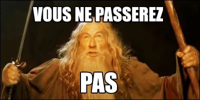 La célèbre réplique "vous ne passerez pas" est dite à...