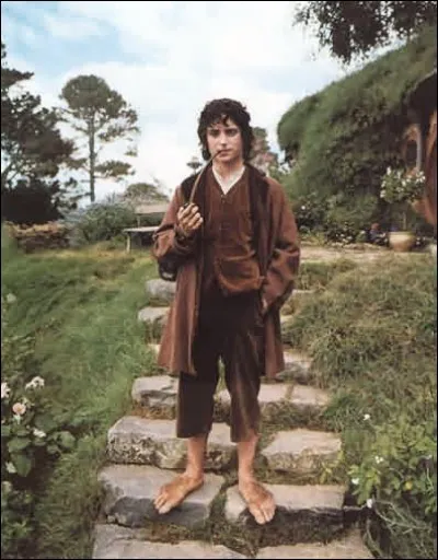 À quel âge Frodon Sacquet part-il à l'aventure ?