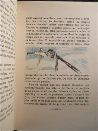 À qui doit-on le roman "Mon frère Yves" ?