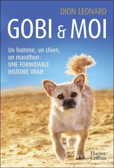 "Le Désert de Gobi" est un roman écrit par :