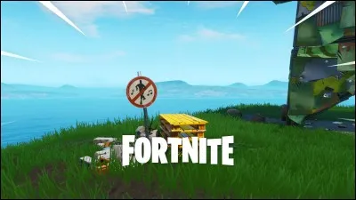 Si Fortnite devient interdit en France, comment réagis-tu ?