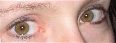 Quel nom porte l'outil du modeleur ou du sculpteur qui permet de retirer les excédents de glaise ?