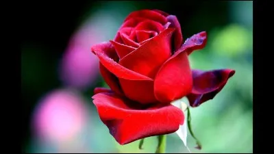 Est-ce que tu remarques des changements sur ton corps ?