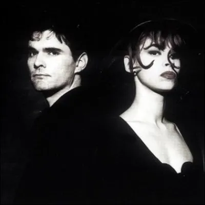 Que peut-on voir à Niagara Falls, comme son nom l'indique ?