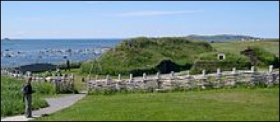 Dans quelle province se situe le site de l'Anse aux Meadows ?