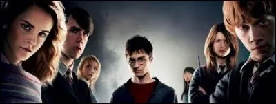 Quel rôle joue Emma Watson ?