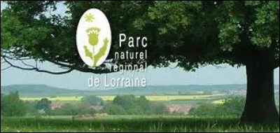 Scind&eacute; en deux, le parc naturel r&eacute;gional de Lorraine se retrouve alors &agrave; cheval sur trois d&eacute;partements.
