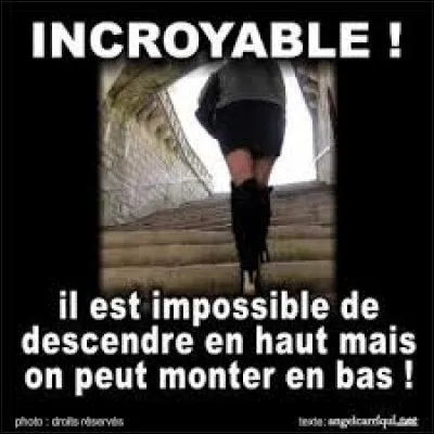 Comment appelle-t-on l'expression "monter en haut" ?