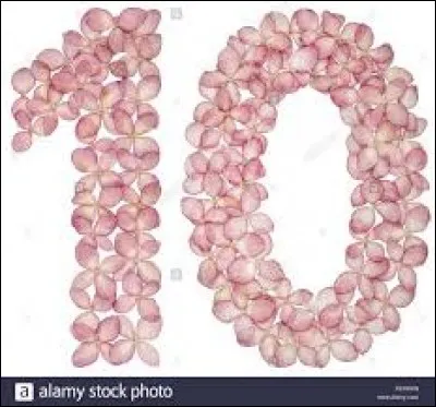 Dans le film sorti en 2006, qui joue dans "Les 10 Commandements" aux côtés de Dougray Scott ?