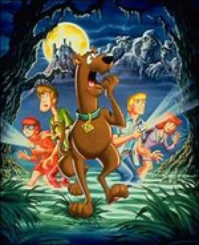 Qui trouve des pièges ?