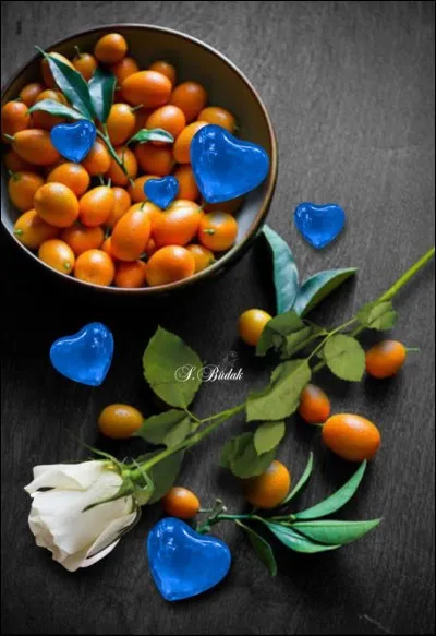 Quel est le nom de l'arbre qui porte des kumquats ?