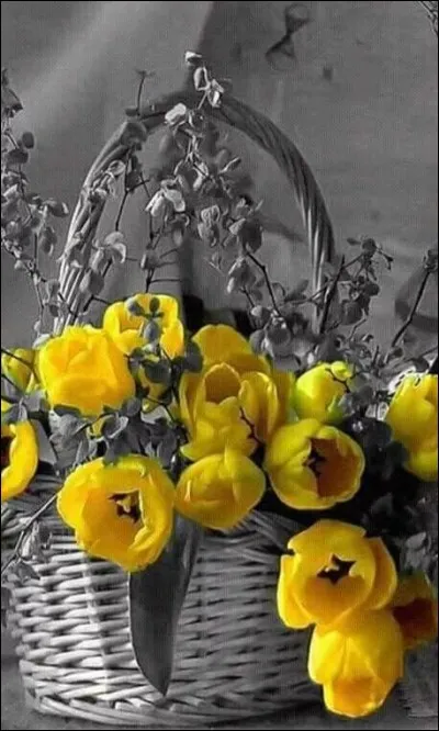 Laquelle de ces fleurs ne fait pas partie des Renonculacées ?