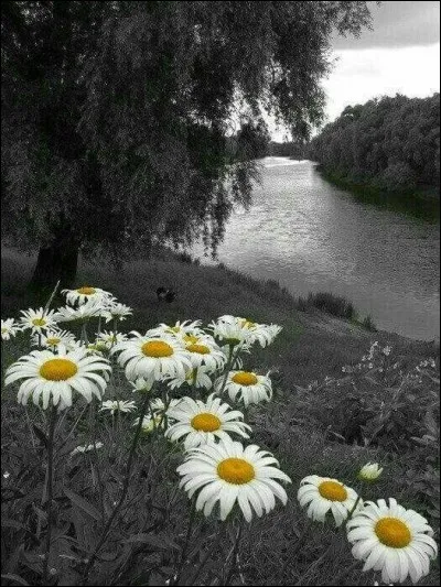 Quelle rivi&egrave;re le pont du Gard enjambe-t-il ?