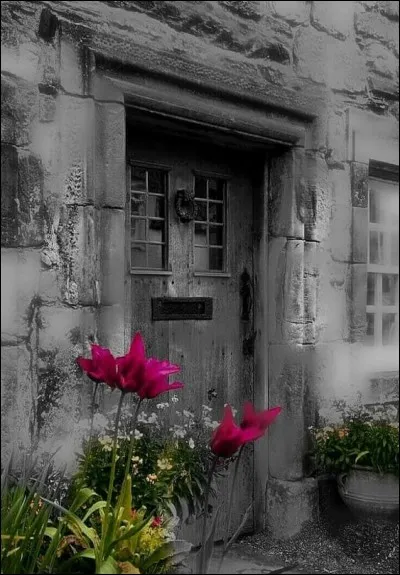 Dans quel d&eacute;partement se situe le village de Saint-V&eacute;ran ?