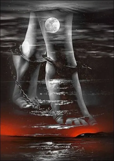 Dans quelle chanson de Graeme Allwright entend-on : "Et ses bateaux &eacute;taient damn&eacute;s, ils transportaient aux antipodes des hommes attach&eacute;s par les pieds..."