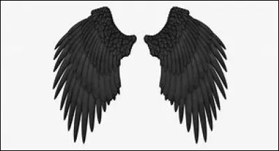 Aimes-tu voir les gens souffrir ?