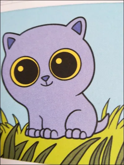 C'est un chat, mais lequel ?