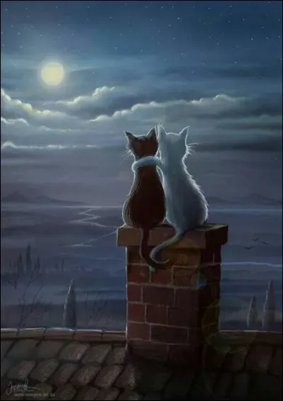 Qui est l'écrivain du livre "Demain les chats" ?