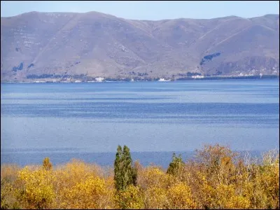 Lequel possède, comme unité monétaire, le lari ?