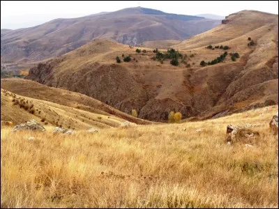 De quel pays est originaire l'ancien footballeur français Youri Djorkaeff ?