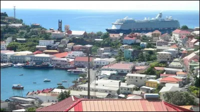 Pays insulaire des Antilles, long de 34 km, large de 19 km : il a été très affecté par le cyclone Ivan en 2004 qui a ravagé 90 % de ses muscadiers, fait plusieurs morts et d'énormes dommages.
Quelle est cette île qui a de très beaux jardins dont certains sont dédiés aux herbes et aux épices, d'autres à une longue tradition de culture de cacao et de muscade, d'où son surnom d'« île aux épices" ?