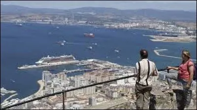 La petite péninsule anglaise, au sud de l'Espagne, abrite un peu plus de 30 000 habitants sur une superficie de seulement 6,543 km2. Un journaliste de ''La Tribune'' écrivait : ''Il y a quelque chose de particulier à l'idée de traverser tout un territoire à pied en une seule journée''.
Quel est le seul endroit où l'on peut admirer des singes à l'état sauvage en Europe ?