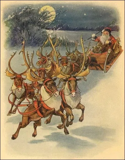 Mais quels animaux tirent son traîneau ?