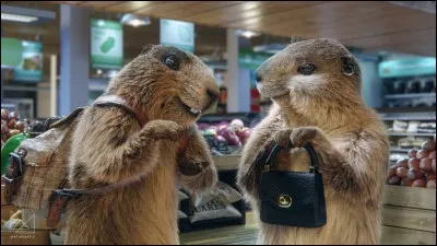 "Et alors la marmotte, elle met le chocolat dans le papier d'alu". A quelle marque de chocolat peut-on associer cette expression, tirée d'une célèbre publicité des années 90 ?