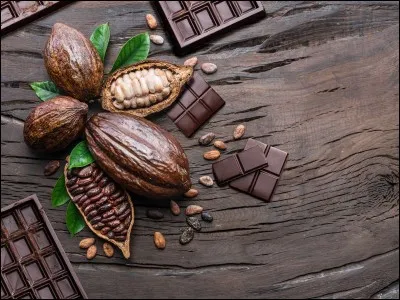 Quel peuple fut le premier à produire du chocolat ?